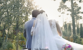 photo_2019-11-28_11-37-03